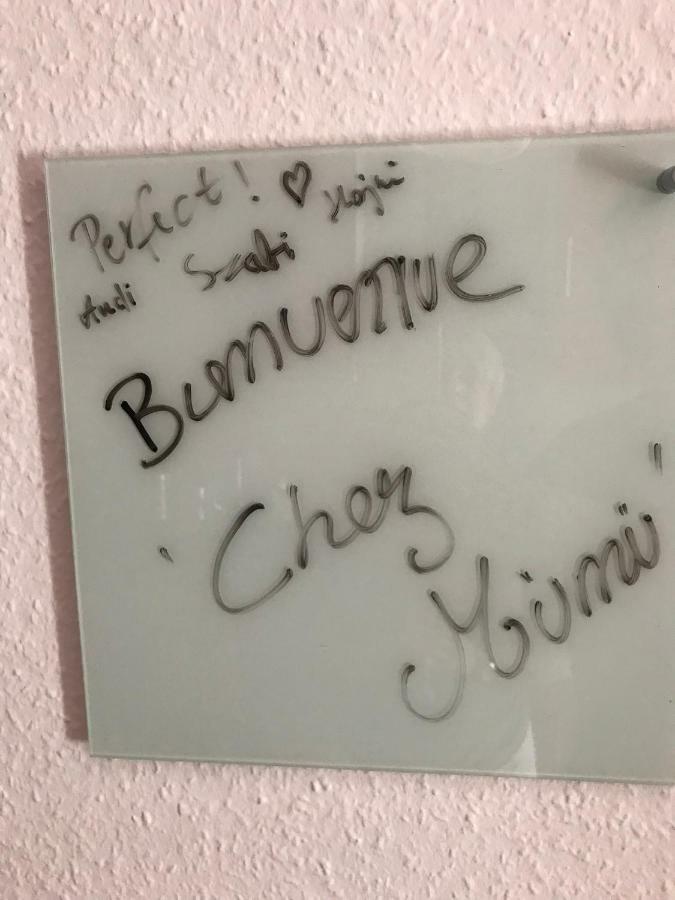 Chez Mumu Apartment Colmar Ngoại thất bức ảnh